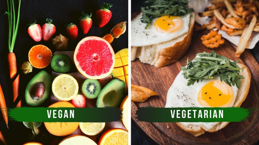 Vegan Or Vegetarian